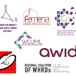Respect Bodily Rights in MENA Countries and Support WHRDs Advocating Bodily Autonomy