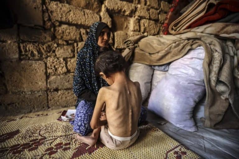 بعد سبعة أشهر من وقف إطلاق النار: استمرار الانتهاكات وتفاقم الأزمة الإنسانية في غزة والضفة الغربية