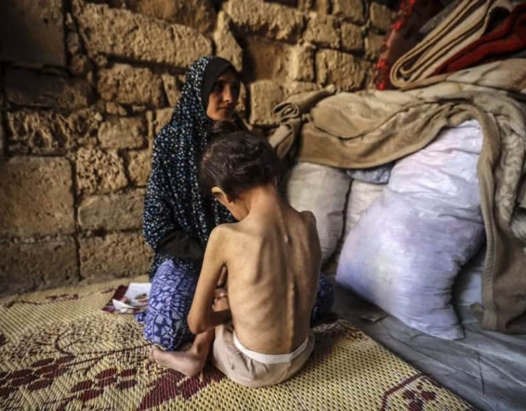 Seven Months After the Ceasefire: Ongoing Violations and the Humanitarian Crisis in Gaza and the West Bank