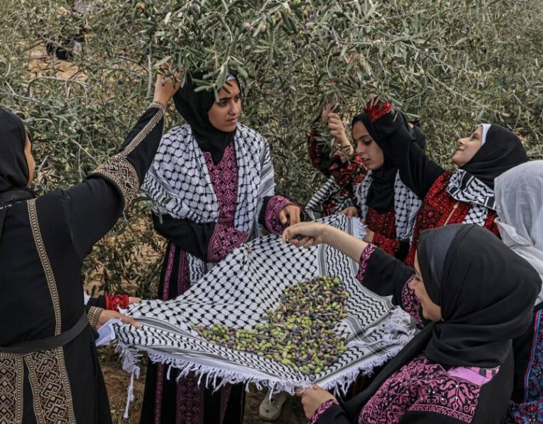 جنگ، نابودی زیرساختها و اشتغال زنان